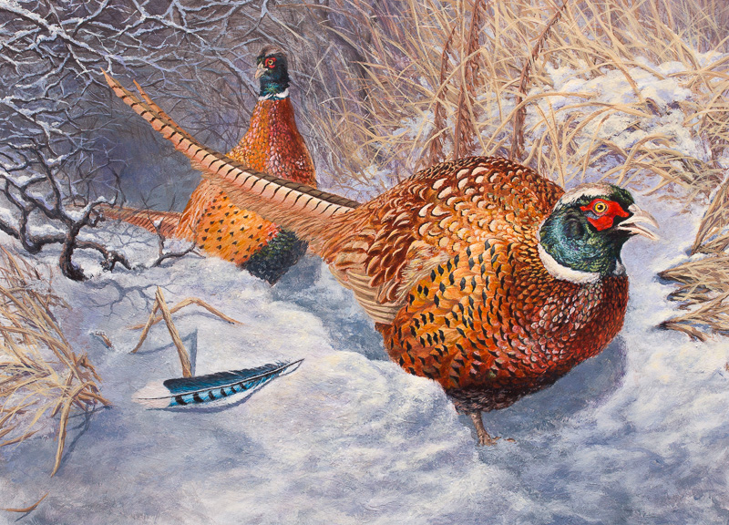 2302_WinterHideAway_Web-2922